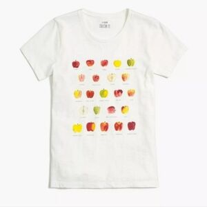 J. Crew Collector Tee Apple Graphic Tshirt Size Small Excellent Used Condition